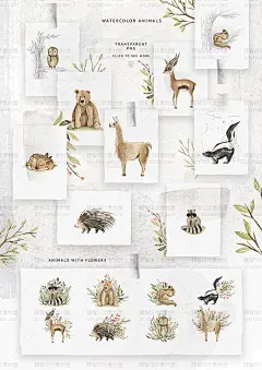 0531可爱水彩森林花朵火烈鸟野生动物熊松鼠植物插画PNG设计素材-淘宝网