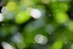 散景
