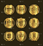 Golden retro vintage shields and laurels