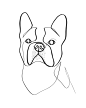Canine With One Line Series | Part 3