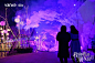 秘密花园奇幻夜