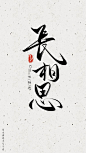 长相思4