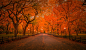 Autumn in Central Park, New York