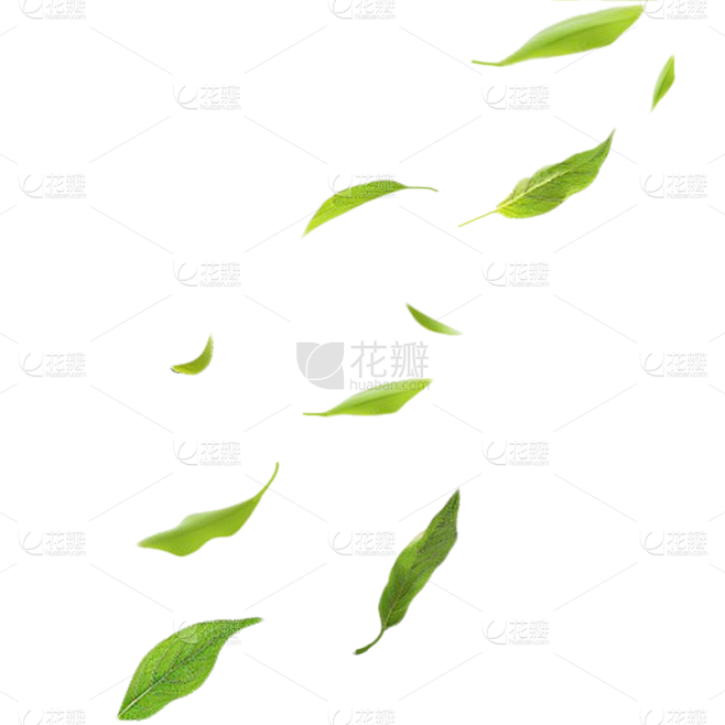 植物通用实景绿色动态落叶元素素材