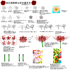 子诉采集到花草线稿、教程