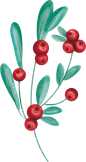 蔓越莓