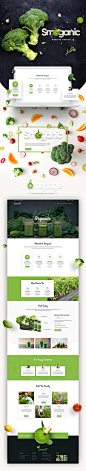 Smoganic Website Design : Smoganic website design, they provide most authentic, natural ingredients in their juices.