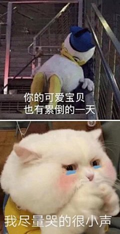 情包仓库上新啦~
快来看评论拿原图吧！ ​​​​