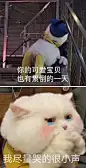 情包仓库上新啦~
快来看评论拿原图吧！ ​​​​