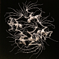 用棉线和胶水制作精致的动物骨骼雕塑----ifavart.com(辣椒酱)-最出色的视觉艺术分享