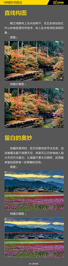 冰糖1号z采集到摄影