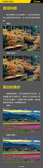 【9种摄影构图法，教你成为拍照达人！】①三分构图；②前景中景背景构图；③对称构图；④近大远小构图；⑤远近构图；⑥维持画面平衡；⑦曲线构图；⑧直线构图；⑨留白法。这些摄影构图的方法或技巧你都知道吗？如果你喜欢旅游，关注我，获取最新旅行攻略。