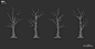 LowPoly Trees, Antonio Dell'Aquila : I had the chance to create these three assets for Narramor, a computer role playing game under development by Sleeping Hero, Milan (Italy).<br/>Lowpoly trees to build-up a mystical forest where the game will take