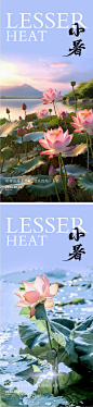 小暑节气海报