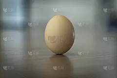 立春时立蛋
