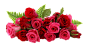 玫瑰花束