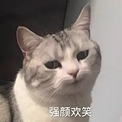 #表情包#
强颜欢笑