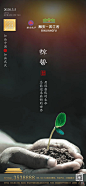 惊蛰节气海报 (54)