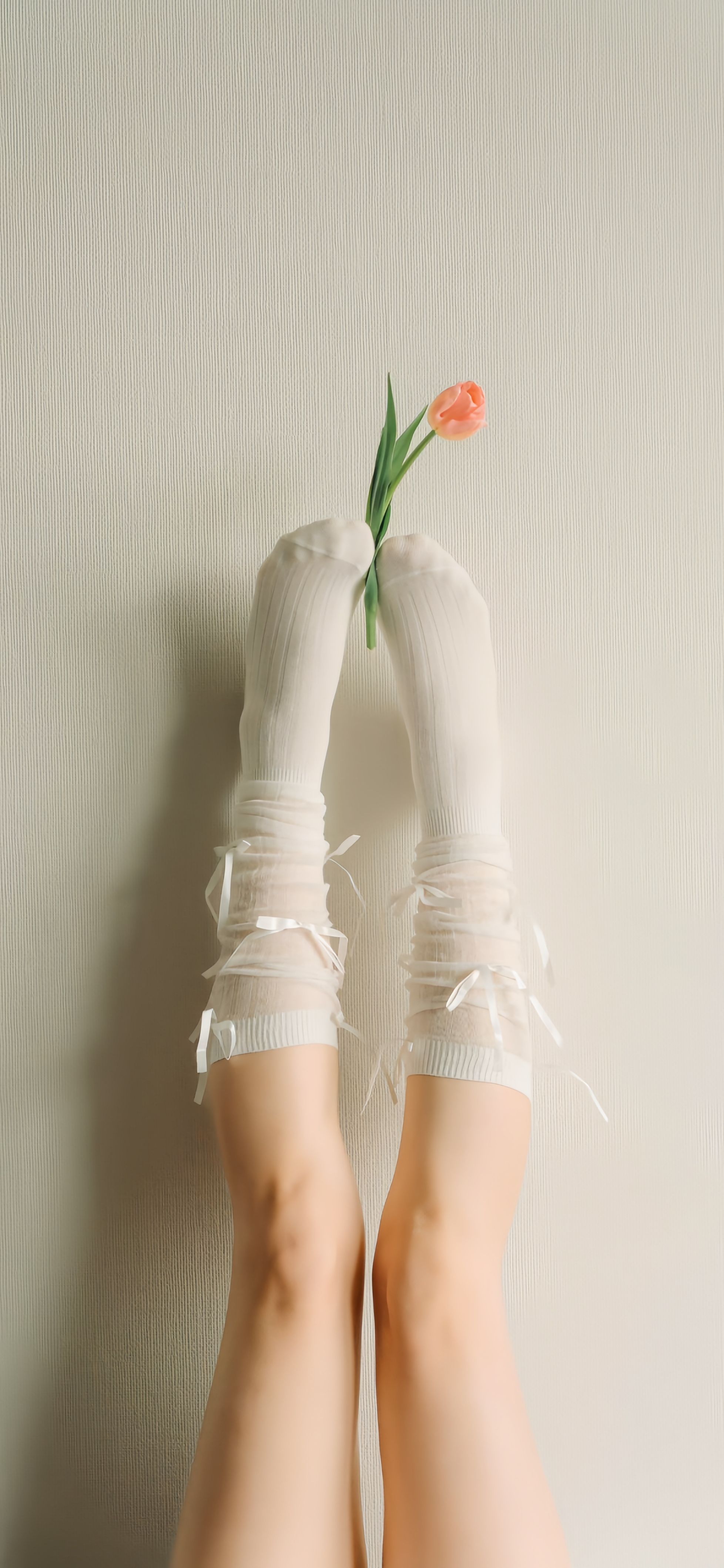 又发现一张还不错的手机壁纸