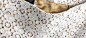 OZ奥芝 金棕内衬 白色棉质蕾丝 修身长裤  原创 设计 新款 2013 正品 代购  英国