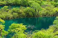 川西九寨沟夏季风光