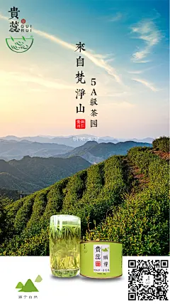 春茶海报#春茶#梵净山#自然#贵州贵蕊头芽