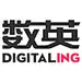 数英网