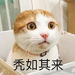 来自相册