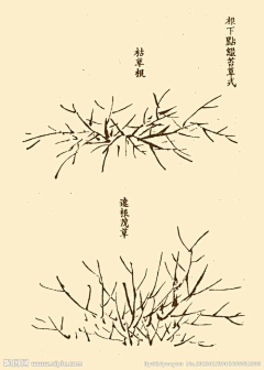 腊-小九天采集到画谱