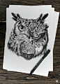 “Owl 鸮” 出色的针管笔猫头鹰插画，来自北京插画师耿伟，他同时是一名互动设计师和艺术总监，就职于北京奥美。（devilfruit.net）