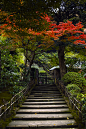 Photograph Autumn of Japan　No.2 by shijyurou t on 500px