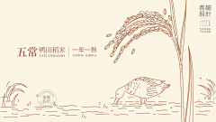 www无畏采集到大米包装