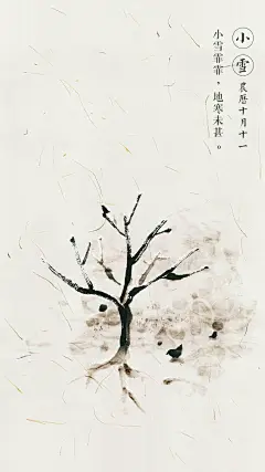 冬雪 下雪 冰雪 冬天 雪季 白色 摄影 素材 寒冷 背景