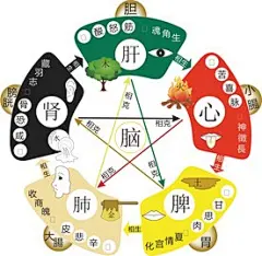 五行相生相克-花瓣网