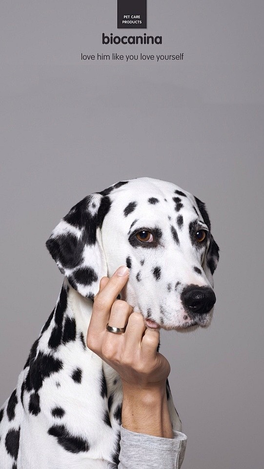 Biocanina - Biocanin...