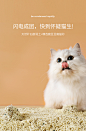 PETSHY&百宠千爱 豆腐猫砂10公斤除臭无尘膨润土混合猫砂可冲厕所-tmall.com天猫
