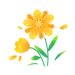 春天  一朵小黄花