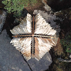 mooool木藕设计网