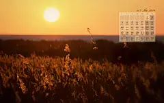 2014年11月唯美秋景月历壁纸 1920x1200