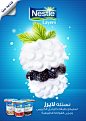 Nestle Bi-Layers : Nestle Bi-LayersStrawberry - Blackberry - Strawberry Tart