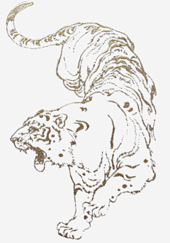 hi_man采集到工作素材