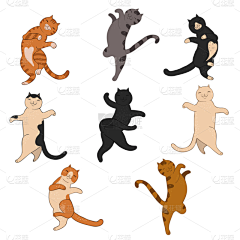 向东边西边采集到猫姿态