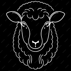 迷人的派大星采集到小素材