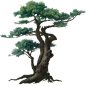 common_tree04