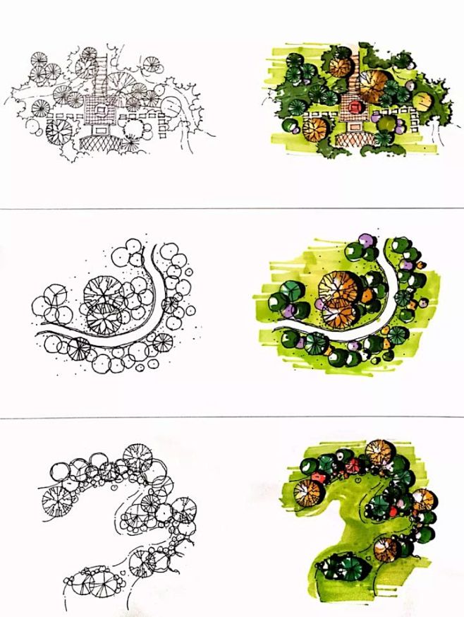 【干货分享】-植物的平面图画法 : 植物...