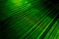 The Green Silk by Por Pathompat / 500px