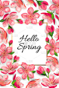 Hello Spring invitation with blossom sakura, cherr