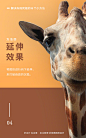 #设计小课堂#【布局过于死板？来看这6种常见的排版小技巧】 ​​​​