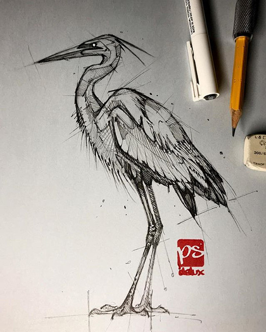 铅笔画 鹤