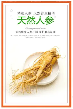 人参   - 源文件下载【酷图网】人参,人参挂画,人参文化,人参海报,人参广告,野生人参,山参,野生山参,长白山人参,土人参,人参画册,正宗人参,野山参,中药人参,野人参,人参花,高丽野人参,人参展板,人参挂图,长白山参,东北人参,东北野山参,中药,千年人参,人参功效,人参DM单,人参传单,人参宣传单,